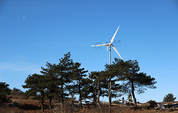 怎样选址以优化小型风力发电机效能与清静？